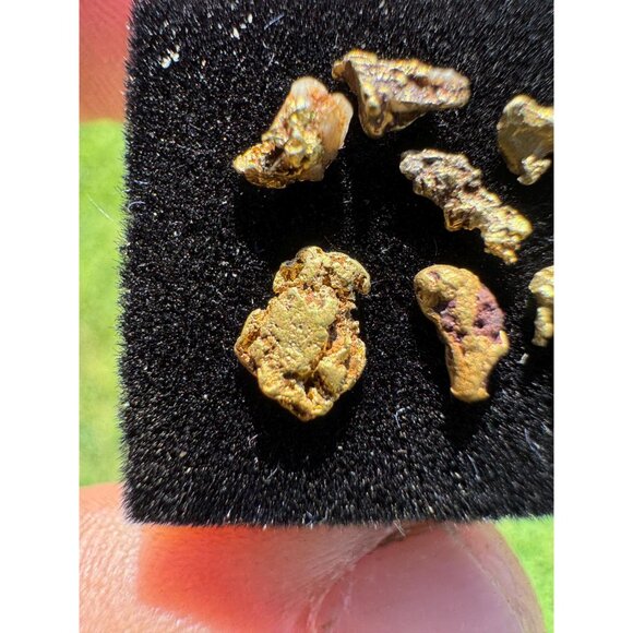 Arizona Gold Nuggets in Display Case - 0.62 grams - Picture 4 of 6